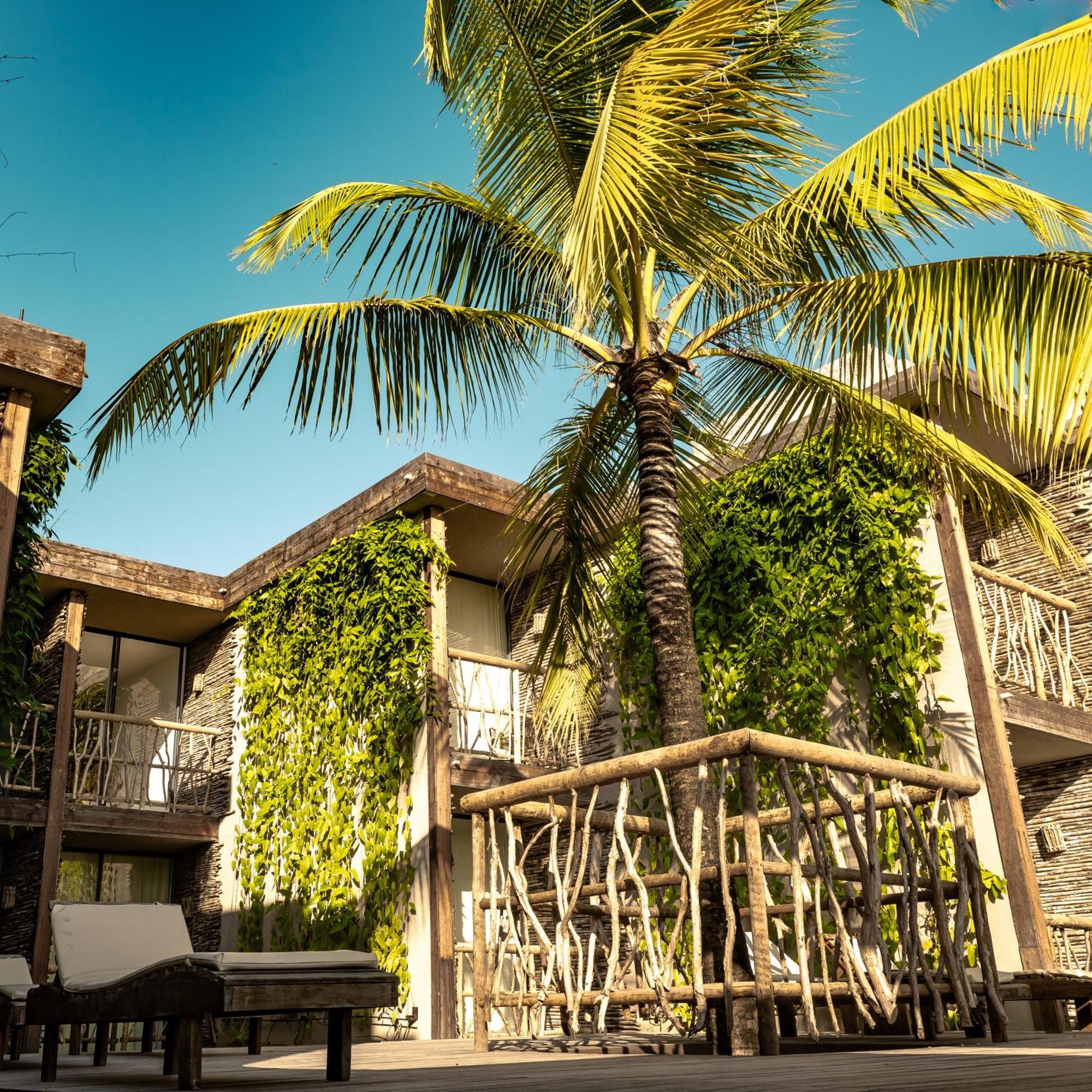 Apenunga Eco Hotel Jijoca de Jericoacoara Exteriér fotografie